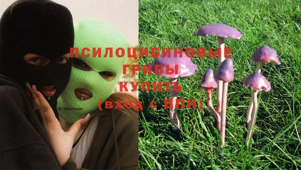 ешки Абдулино